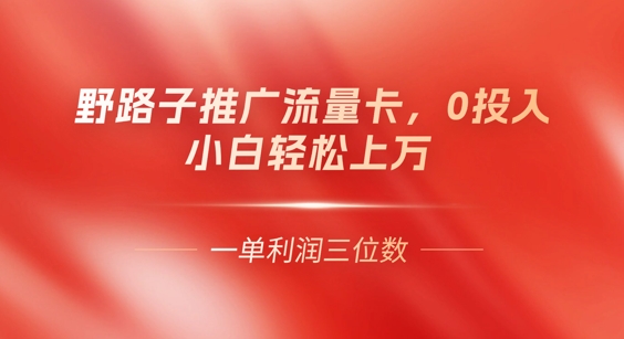 0门槛推广流量卡，一单收益上百，0投入，小白月入过W-搞钱专业户