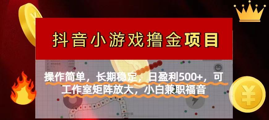 （14290期）【抖音小游戏发行人计划项目】操作简单，长期稳定，日盈利500+，可工作…-搞钱专业户