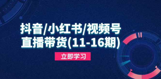 （14611期）抖音/小红书/视频号/直播带货(11-16期)，快速掌握平台规则，打造爆款内容-搞钱专业户