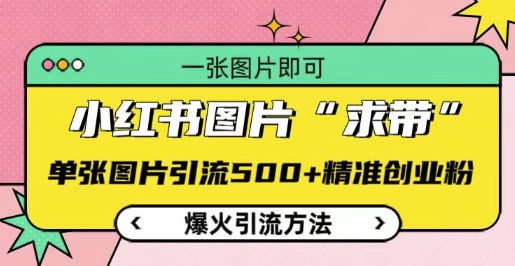 小红书图片‘求带’爆火引流法，单张图片引流500+精准创业粉【揭秘】-搞钱专业户