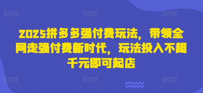 2025拼多多强付费玩法，带领全网走强付费新时代，玩法投入不超千元即可起店-资源分享吧