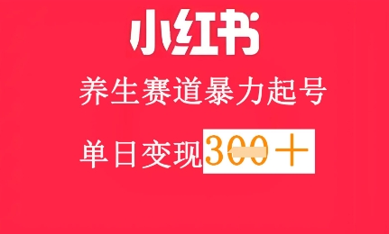 小红书养生赛道，暴力起号，轻松日入3张+-搞钱专业户