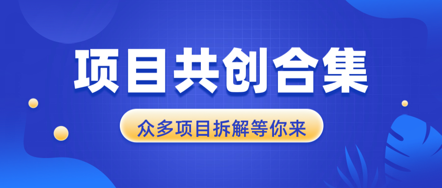 （13778期）项目共创合集，从0-1全过程拆解，让你迅速找到适合自已的项目-搞钱专业户