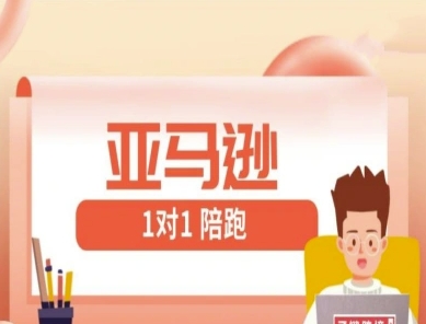 亚马逊1对1陪跑课(FBA/FBM精铺)跨境亚马逊教程-搞钱专业户