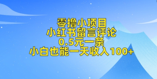 零撸小项目，小红书留言评论，0.5元一条，小白也能一天收入100+-搞钱专业户