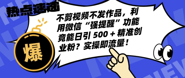 不剪视频不发作品，视频号私信日引 500 + 精准创业粉?实操即流量!-搞钱专业户