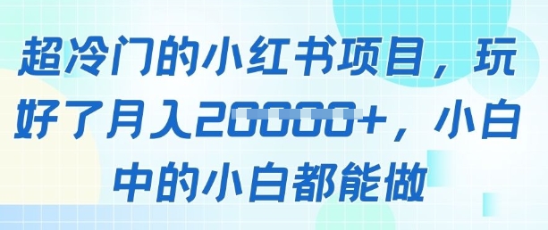 超冷门的小红书项目，玩好了月入过1w，小白中的小白都能做-搞钱专业户