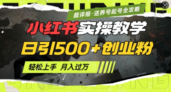 2月小红书最新日引500+创业粉实操教学【超详细】小白轻松上手，月入1W+，附小红书养号起号SOP-搞钱专业户