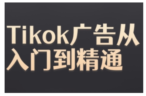Tiktok Ads实操教程，Tiktok广告从入门到精通-搞钱专业户