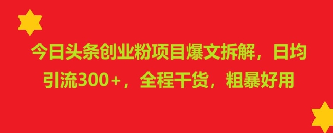 今日头条创业粉项目爆文拆解，日均引流300+，全程干货，粗暴好用-搞钱专业户
