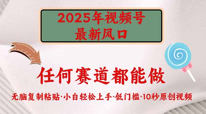 （14453期）2025年视频号新风口，低门槛只需要无脑执行-搞钱专业户
