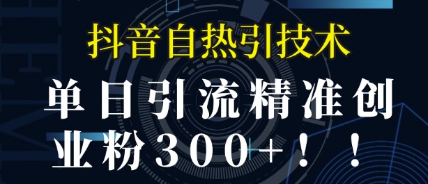 抖音自热引流，单日引流精准创业粉300+-搞钱专业户
