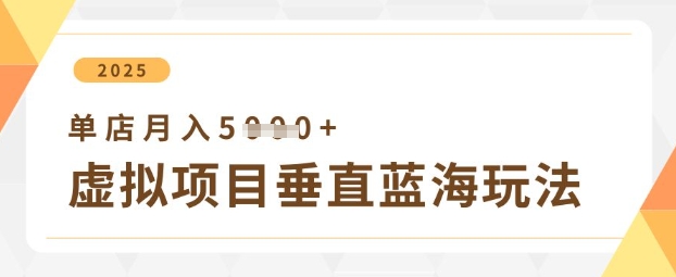 虚拟项目垂直玩法，实现单店月入5k+-搞钱专业户