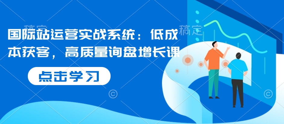 国际站运营实战系统：低成本获客，高质量询盘增长课-搞钱专业户