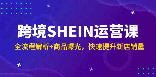 （14832期）跨境SHEIN运营课，全流程解析+商品曝光，快速提升新店销量-搞钱专业户