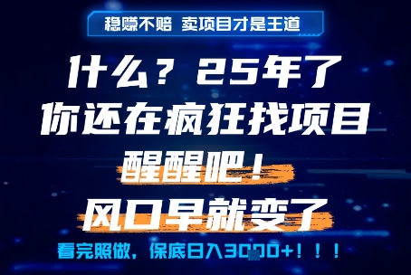 什么？25年你还在疯狂找项目做，醒醒吧，看完这些你全都懂了！【揭秘】-搞钱专业户