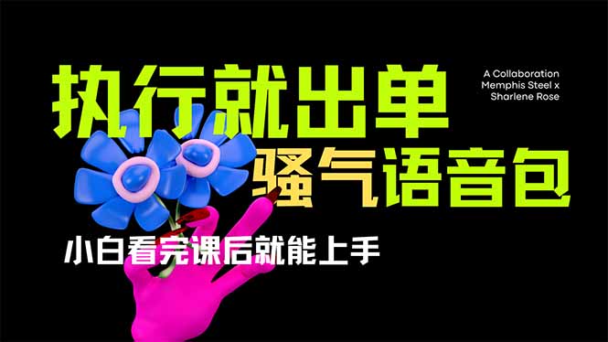 （14170期）爆火全网的开车导航骚气语音包,只要执行就出单，小白看完课程就能实操…-搞钱专业户