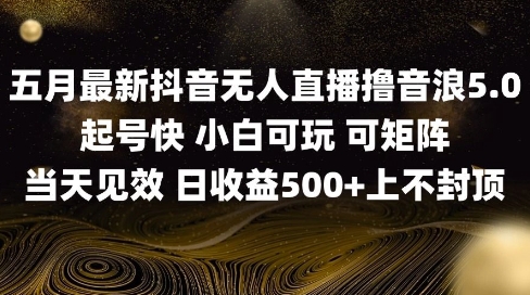 2025五月最新无人直播撸音浪单日产出5张+实操教程【揭秘】-搞钱专业户