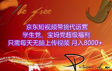 京东短视频带货代运营，学生党、宝妈党超级福利，只需每天无脑上传视频，月入8000+【仅揭秘】-搞钱专业户