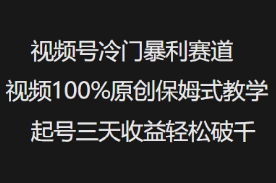 视频号冷门暴利赛道视频100%原创保姆式教学起号三天收益轻松破千-搞钱专业户