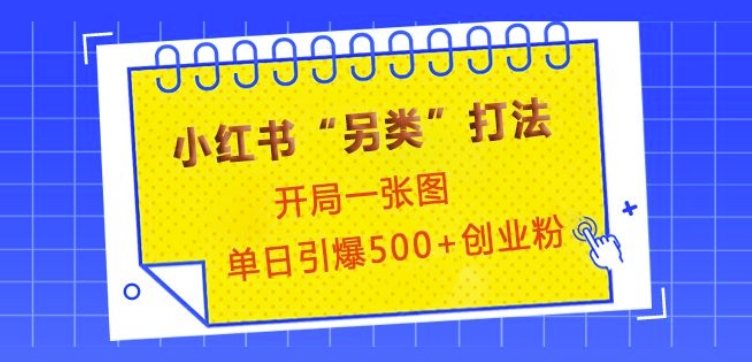 小红书“另类”打法，开局一张图，单日引爆500+精准创业粉【揭秘】-搞钱专业户