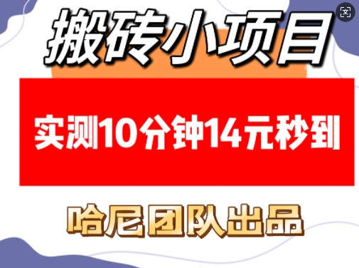搬砖小项目，实测10分钟14元秒到，每天稳定几张(赠送必看稳定)-搞钱专业户