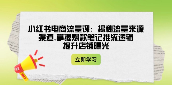 （14318期）小红书电商流量课：揭秘流量来源渠道,掌握爆款笔记推流逻辑,提升店铺曝光-搞钱专业户