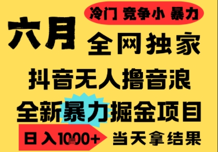 25年6月高爆抖音无人直播最新撸音浪掘金项目，小白可做，无脑日入1k+，门槛低可批量矩阵【揭秘】-搞钱专业户