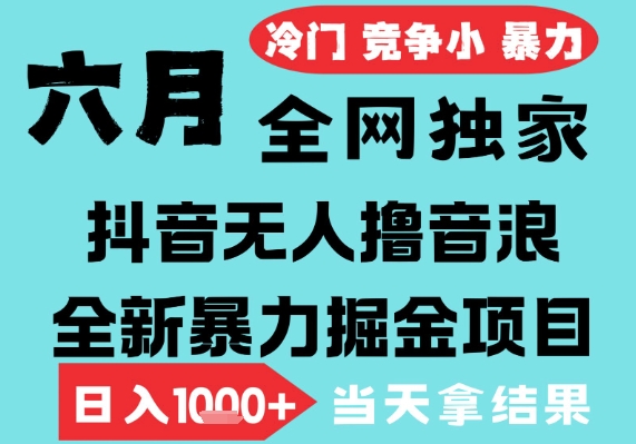 2025年6月高爆抖音无人直播最新撸音浪掘金项目，无脑日入1k+，低门槛小白可做，可矩阵放大【揭秘】-搞钱专业户