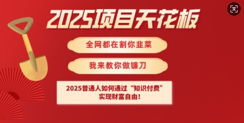 2025项目天花板普通人如何通过知识付费，实现财F自由【揭秘】-搞钱专业户