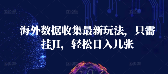 海外数据收集最新玩法，只需挂JI，轻松日入几张-搞钱专业户