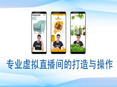 个人虚拟直播间的搭建与操作，专业虚拟直播间的打造与操作-搞钱专业户