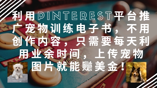 利用Pinterest平台推广宠物训练电子书，不用创作内容，只需要每天利用业余时间，上传宠物图片就能挣美金!-搞钱专业户