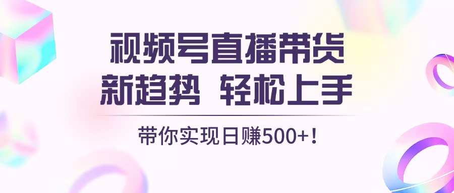 （13370期）视频号直播带货新趋势，轻松上手，带你实现日赚500+-搞钱专业户