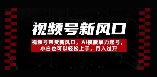 视频号带货新风口，AI模版暴力起号，小白也可以轻松上手，月入过W-搞钱专业户