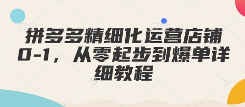 拼多多精细化运营店铺0-1，从零起步到爆单详细教程-搞钱专业户