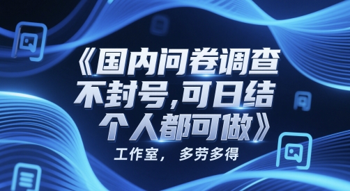国内问卷调查，不封号，可日结，多劳多得，工作室，个人都可做-搞钱专业户