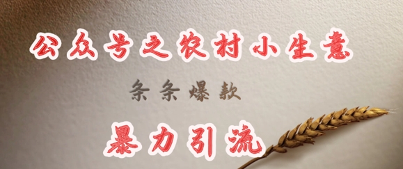 deepseek写农村小项目，条条爆款，暴力引流-搞钱专业户
