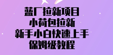 蓝厂拉新项目，小荷包拉新，新手小白快速上手，保姆级教程-搞钱专业户