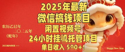 2025年最新微信搞钱项目，闲置视频号年24小时挂G托管项目，单日收入多张-搞钱专业户