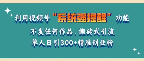 利用微信视频号系统提醒功能，引流精准创业粉，无需发布任何作品，单人单日引流300+创业粉-搞钱专业户
