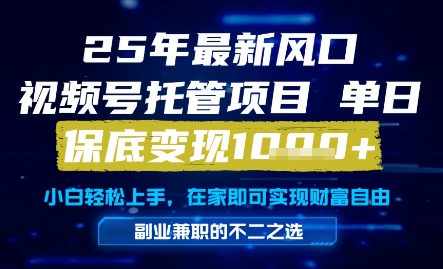 25年最新风口，视频号托管项目，单日保底变现1k+，手把手教学【揭秘】-搞钱专业户