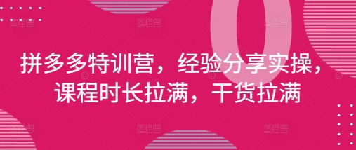 拼多多特训营，经验分享实操，课程时长拉满，干货拉满(更新25年4月)-搞钱专业户