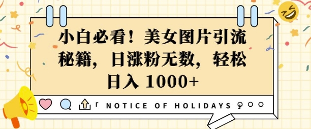 小白必看，美女图片引流秘籍，日涨粉无数，轻松日入几张【揭秘】-搞钱专业户