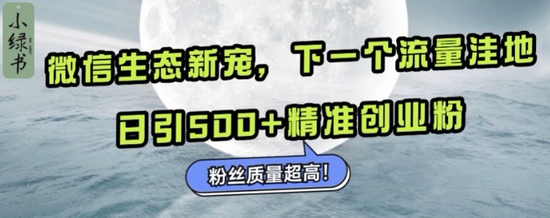 微信生态新宠小绿书：下一个流量洼地，日引500+精准创业粉，粉丝质量超高-搞钱专业户