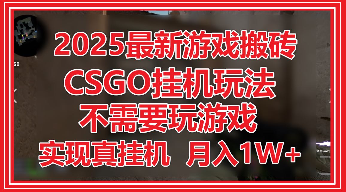 （14743期）2025最新游戏搬砖，CSGO挂机，不需要玩游戏，实现真挂机，月入1W+-搞钱专业户