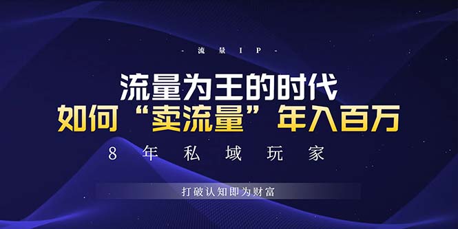 （13433期）未来如何通过“卖流量”年入百万，跨越一切周期绝对蓝海项目-搞钱专业户