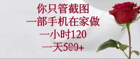 你只管截图,一部手机在家操作,一小时120.一天5张【揭秘】-资源分享吧