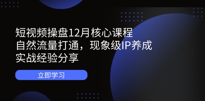 （14447期）短视频操盘12月核心课程：自然流量打通，现象级IP养成，实战经验分享-搞钱专业户