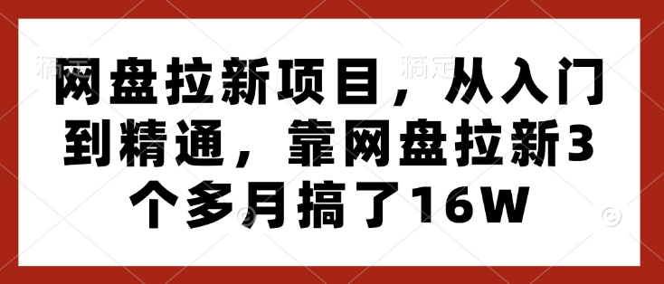 网盘拉新项目，从入门到精通，靠网盘拉新3个多月搞了16W-搞钱专业户